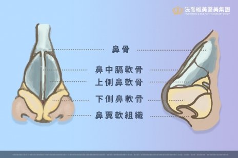 人人都想要有完美的鼻型 歪鼻的我該如何是好呢 法喬醫美診所 台北 台中 高雄 人人都想要有完美的鼻型 歪鼻的我該如何是好呢 法喬醫美診所 台北 台中 高雄