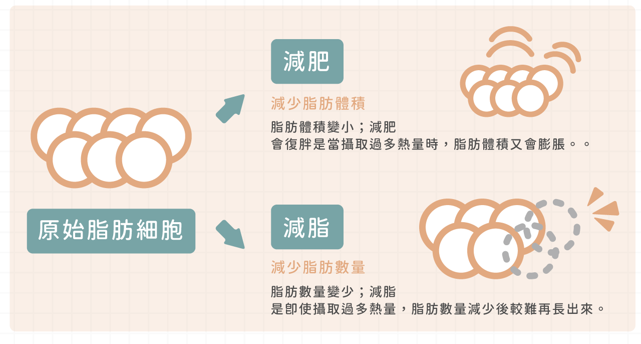 減肥與減脂差異