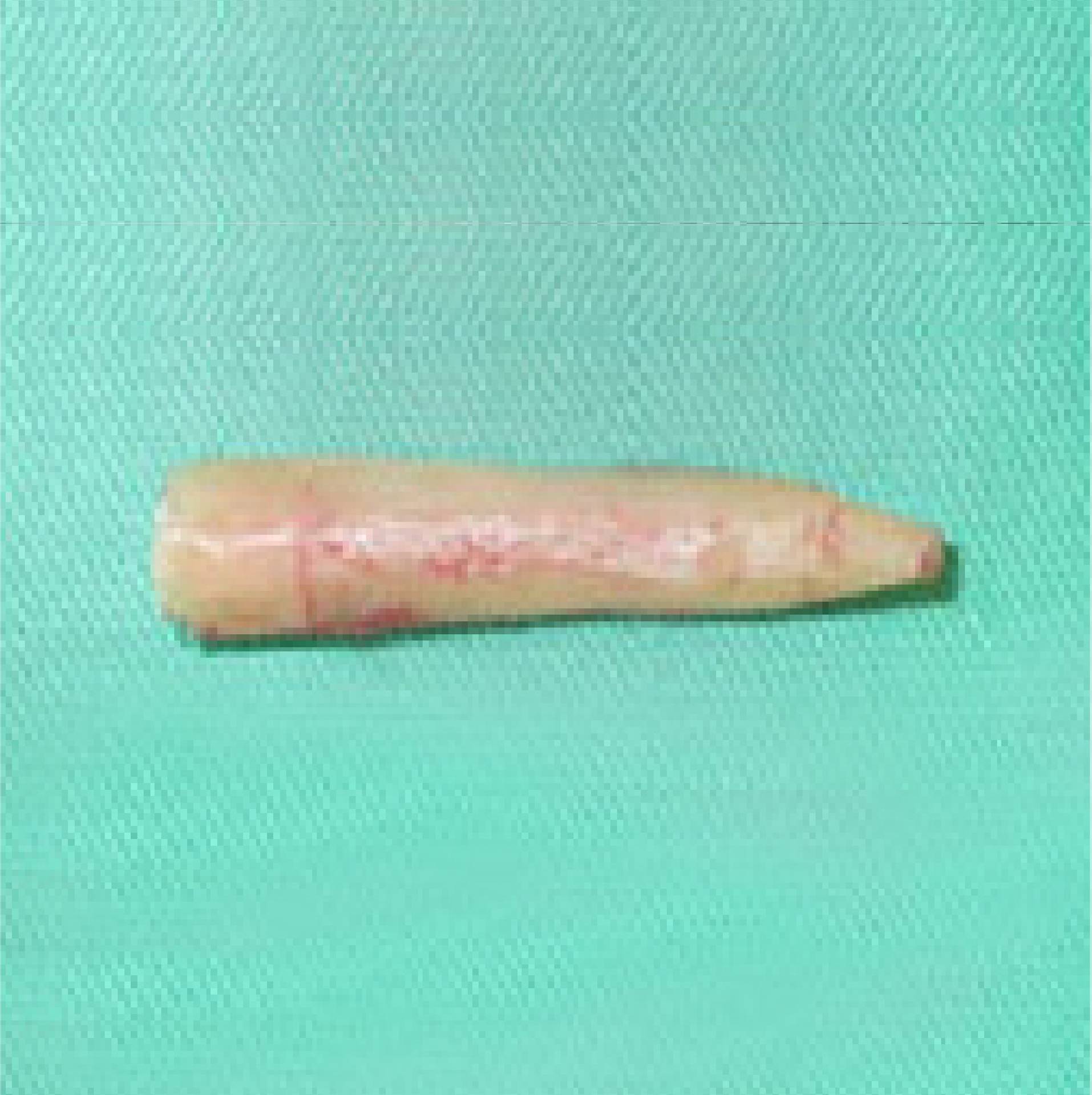 經過雕刻的肋骨